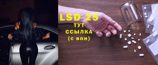 спиды Тайга