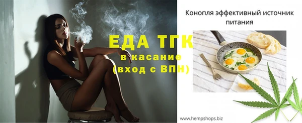 спиды Тайга