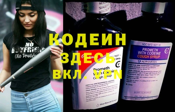 крисы Балахна