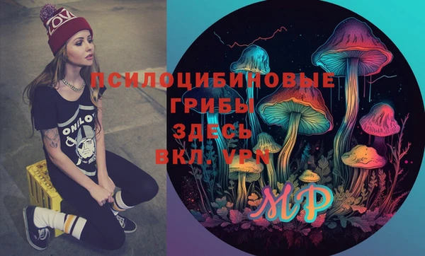 крисы Балахна