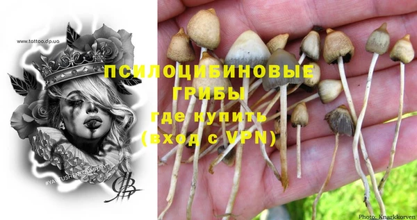 крисы Балахна