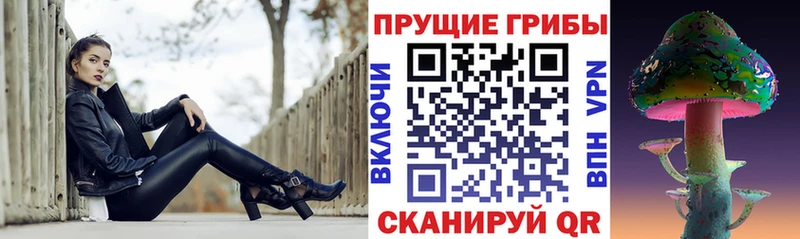 Галлюциногенные грибы Magic Shrooms закладки ссылка на мегу зеркало Вятские Поляны
