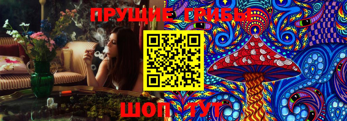 Псилоцибиновые грибы Psilocybe  Псилоцибиновые грибы Psilocybe  Вход с VPN  Вятские Поляны 