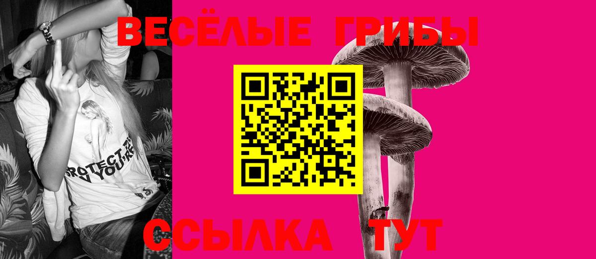 Галлюциногенные грибы Cubensis Вятские Поляны